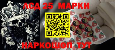 стаф Дубна