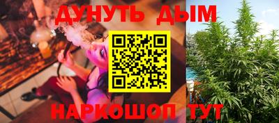 стаф Дубна