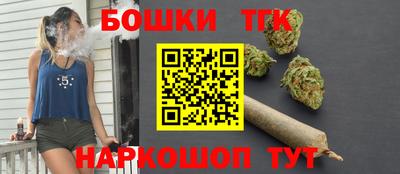 стаф Дубна
