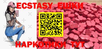 стаф Дубна