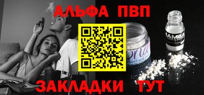 стаф Дубна