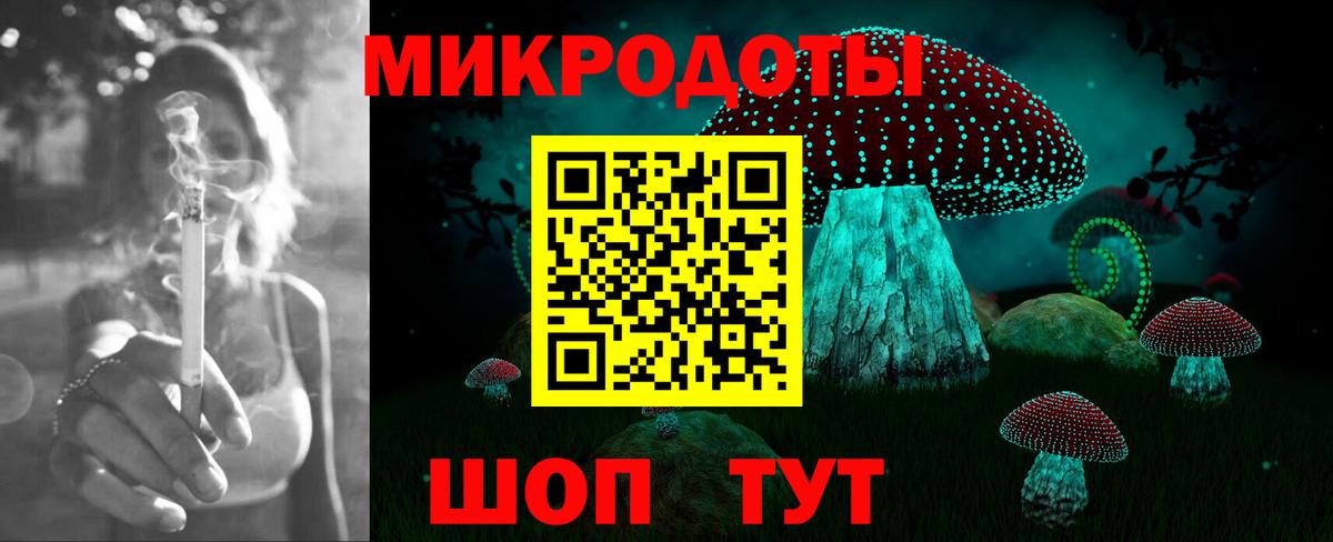 Галлюциногенные грибы Psilocybine cubensis  Вход с VPN  Избербаш 